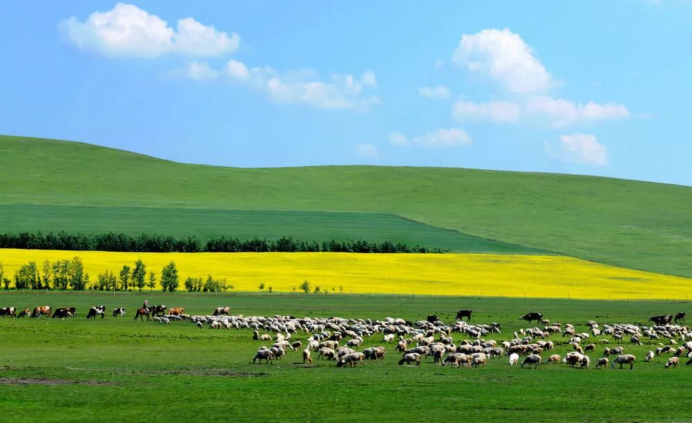 内蒙古之旅，心灵与自然的交响曲