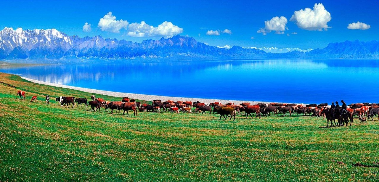 新疆之韵探秘，地域文化的独特魅力