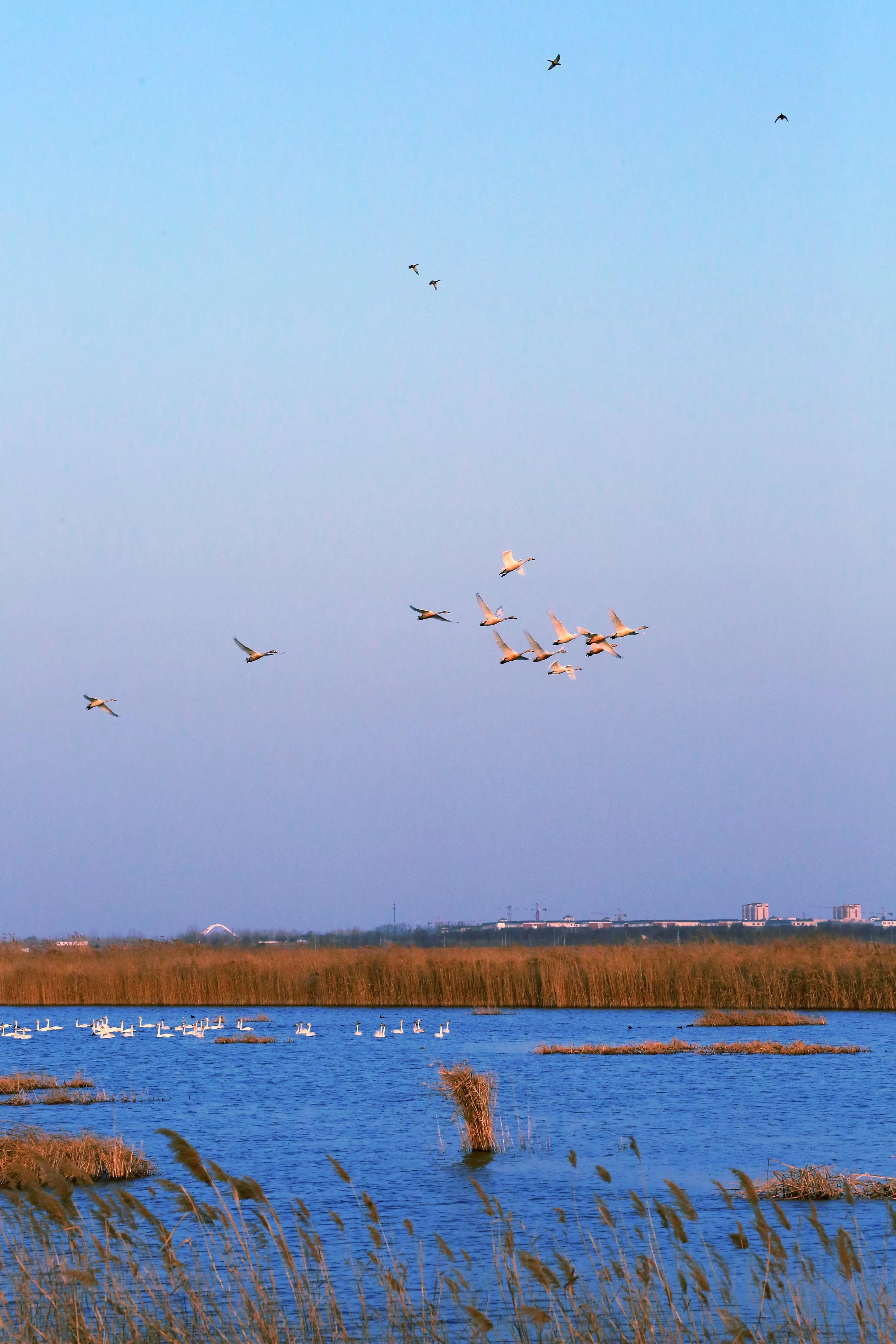 衡水，千年古郡绽放现代新城风采